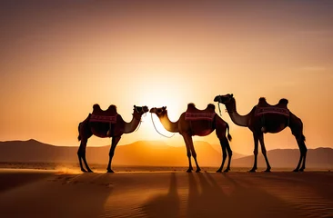 Selbstklebende Fototapeten Silhouettes of camels in the desert © Viktoriia