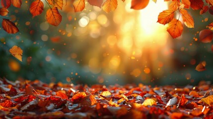 Autumn Leaves on the Ground With Sun in Background