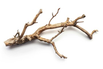 A dead tree branch lying on a white surface. Suitable for nature or minimalist concepts.