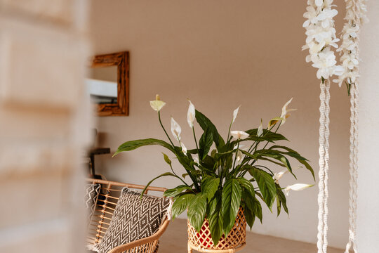M&eacute;lange de textures naturelles pour la d&eacute;coration du pool house