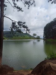 Serene Lake Surrounded by Lush Forest on a Cloudy Day