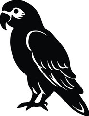 Fototapeta premium Africangrayparrot silhouette