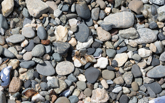 pebbles, surface next to the ocean background wallpaper