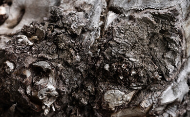 piece of wood close up background wallpaper