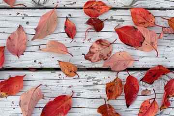 Colorful red and orange leaves on a rustic wooden background. Suitable for fall season designs.
