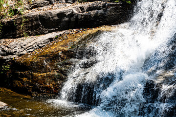 waterfall in the forest