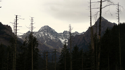 Morskie Oko, or Eye of the Sea, is the largest and fourth deepest lake in the Tatra Mountains in southern Poland. It is located deep in the Tatra National Park, in the Rybi Potok Valley © Andreia