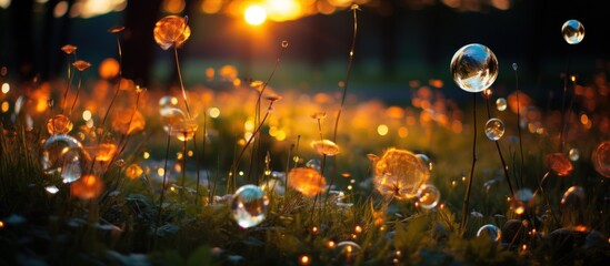 beautiful festive colorful bubbles and circles fly and shimmer over the green grass