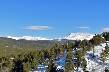 Snowy Rocky Mountain Pine Forest