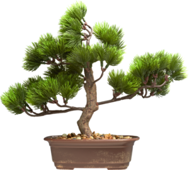 LAYER-LAB_0305215428F_LC