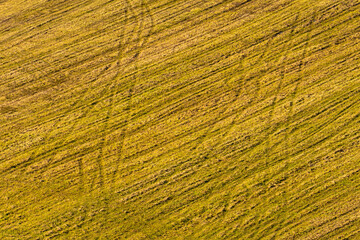 Rural landscape with yellow field and tractor tracks