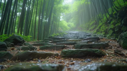 Fotobehang A warriors path through a sacred bamboo forest © Vodkaz