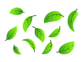 Green tea leaves flying in the air