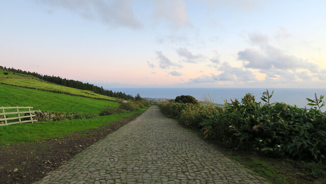 A country road in Terceira Island, Azores, Portugal