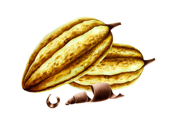 Watercolor composition with cocoa pods, fruits and curl slices of chocolate. Hand drawn beens, realistic organic superfood illustration isolated on white background. For designers, packag