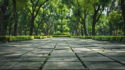 Fototapeta premium Serene park walkway, ideal for nature-themed designs.