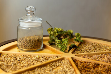 Various types of malting malt and a dried branch of hops on a wooden tray.