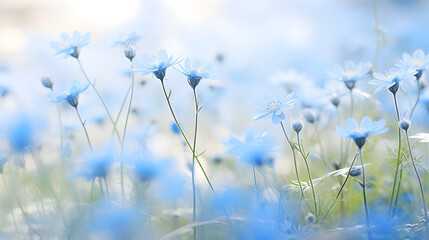 Ethereal Blue Wildflowers Soft Light Dreamy Meadow Background