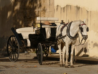 Córdoba, Kutsche und Pferd