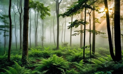 A tranquil forest at dawn, the mist of the trees, with lush green foliage 