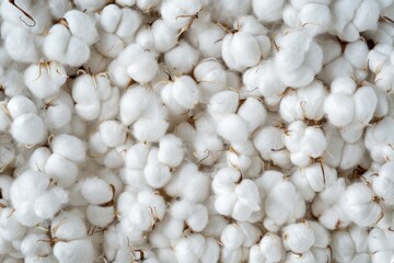 Obraz na płótnie Canvas Cotton wool background. Close-up of white cotton balls. Cotton wool texture.
