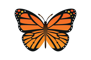 Butterflies beautiful colored , decor isolated vector image on white