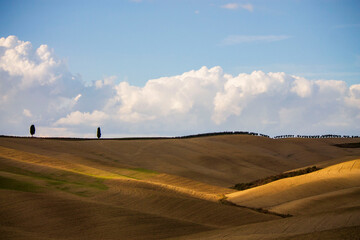 Obraz premium rural landscape of Tuscany in autumn