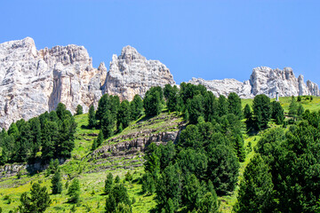 Mountain landscape on Latemar  in summer