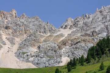 Mountain landscape on Latemar  in summer