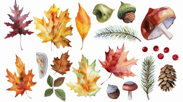 Watercolor painting of colorful autumn leaves and acorns, perfect for fall-themed projects.
