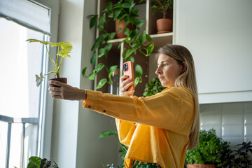 Woman demonstrates an ornamental philodendron houseplant that grows in home garden. Female blogger...