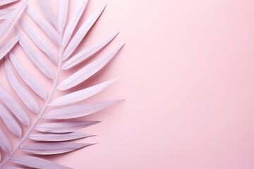 Tropical palm leaves on pastel pink background. Minimal exotic fashion concept. Summer holidays and...