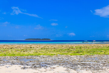 View of the Indian ocean at low tide, Zanzibar, Tanzania