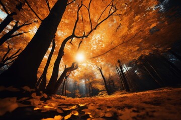 a beautiful autumn landscape with fallen leaves in a forest glade at sunset, sunlight and beautiful nature as background