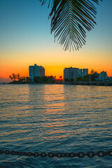 Sunrise Seascape over the skyline at Condado Beach in San Juan Puerto Rico, with a Palm tree leaf...