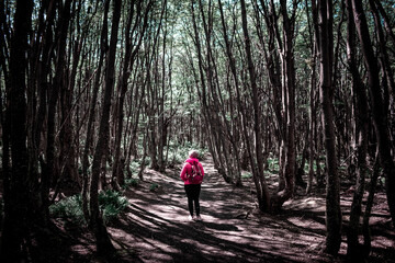 Mujer caminando sola por bosque oscuro y sombrio. Fotografía estilo Dark Moody - obrazy, fototapety, plakaty