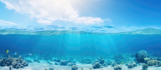 A vibrant coral reef in the ocean under the suns rays with the light shining through the clear water, creating a stunning natural landscape