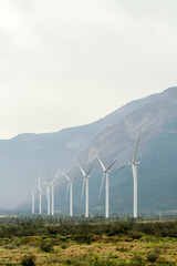 A group of windmills in a field, Monterrey Mexico