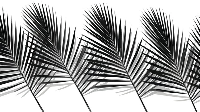 toned black and white shoot of palm leafs
