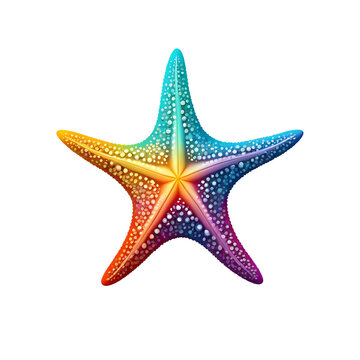 Colorful logotype of a drawn starfish on a transparent background