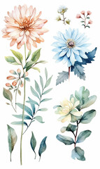 Fototapeta na wymiar Watercolor illustrations of assorted flowers and foliage