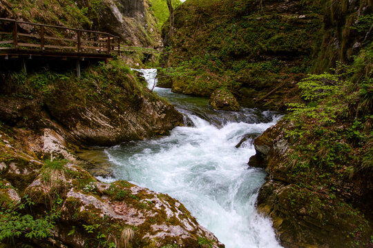 Vintgar Gorge or Bled Gorge is a 1.6 km long gorge in northwestern Slovenia. This natural nature reserve. The Vintgar Gorge is one of the most important tourist attractions in Slovenia.