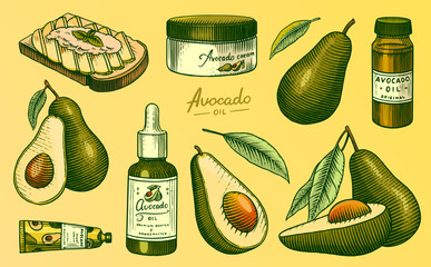 Tropical avocado. Set of evergreen fruit plant. Cosmetics for skin care. Organic oil in the bottle. Isolated Vector hand drawn. Vintage template for design. Engraved monochrome sketch