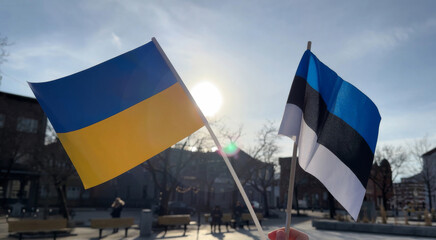Person holding two flags in a park, representing unity or support