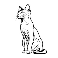 Abyssinian Cat Vector Logo