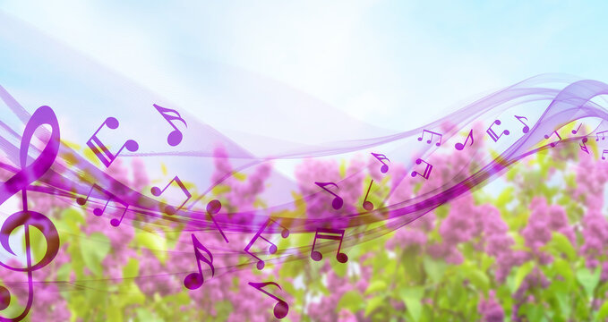 Beautiful lilac tree on blue sky background