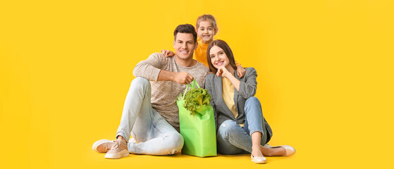 Family with food in bag on color background