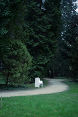 A white bench is placed in the center of a natural landscape park, surrounded by trees and grass family plants. The ground pathway leads to the tranquil spot amidst lush greenery