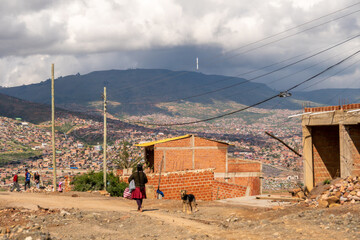 Unrecognizable Traditional Bolivian woman walking down a dirt road, houses in the middle of a...