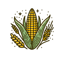 Corn hand drawn vector graphic asset vector